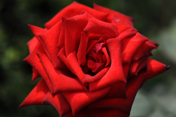 515 6 DSC_5453.jpg